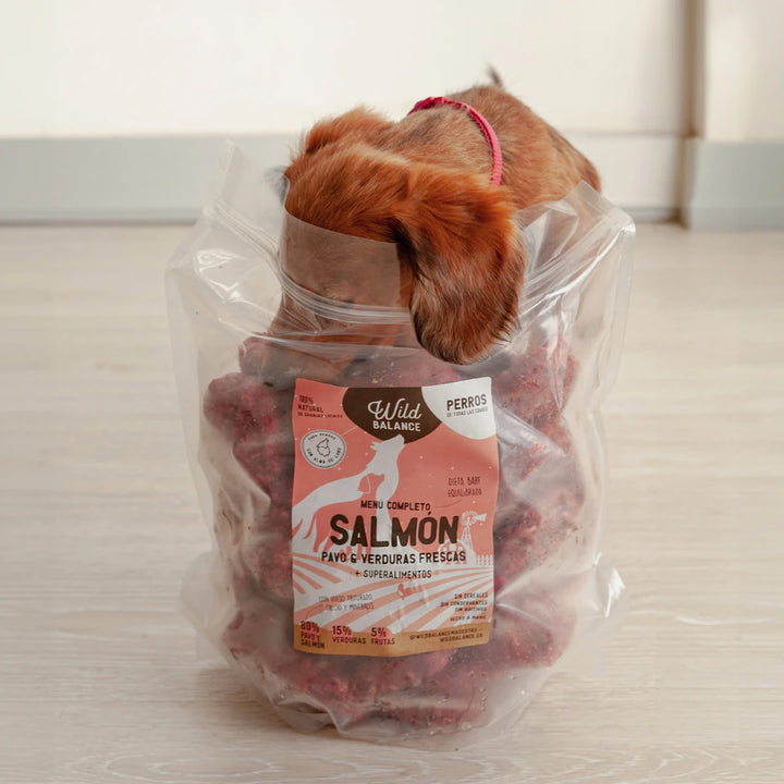 menú BARF de Salmon y pavo para perros