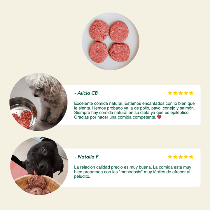 menú BARF de Salmon y pavo para perros