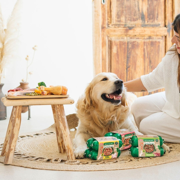 Comida cocinada para perros de pollo