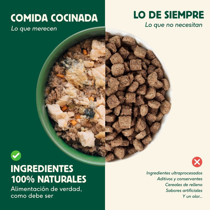 Comida cocinada de salmón con ternera para perros