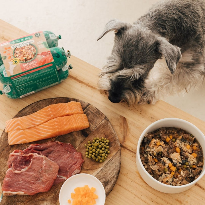 Comida cocinada de salmón con ternera para perros
