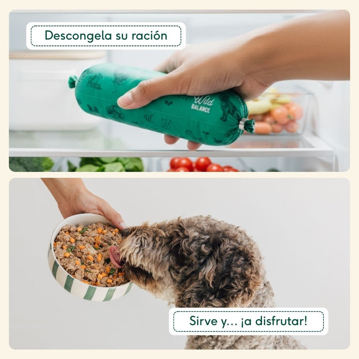 Comida cocinada de salmón con ternera para perros