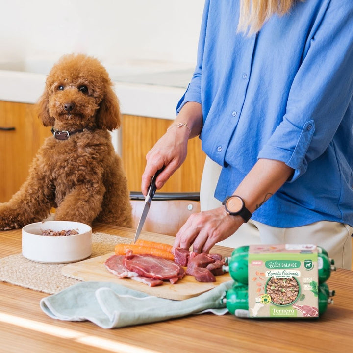 Comida cocinada de ternera para perros 