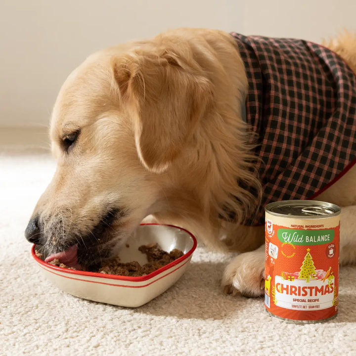 Lata comida húmeda navidad para perros
