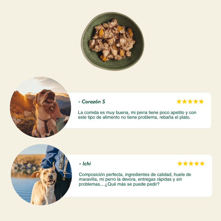 lata filosofía barf de cerdo para perros