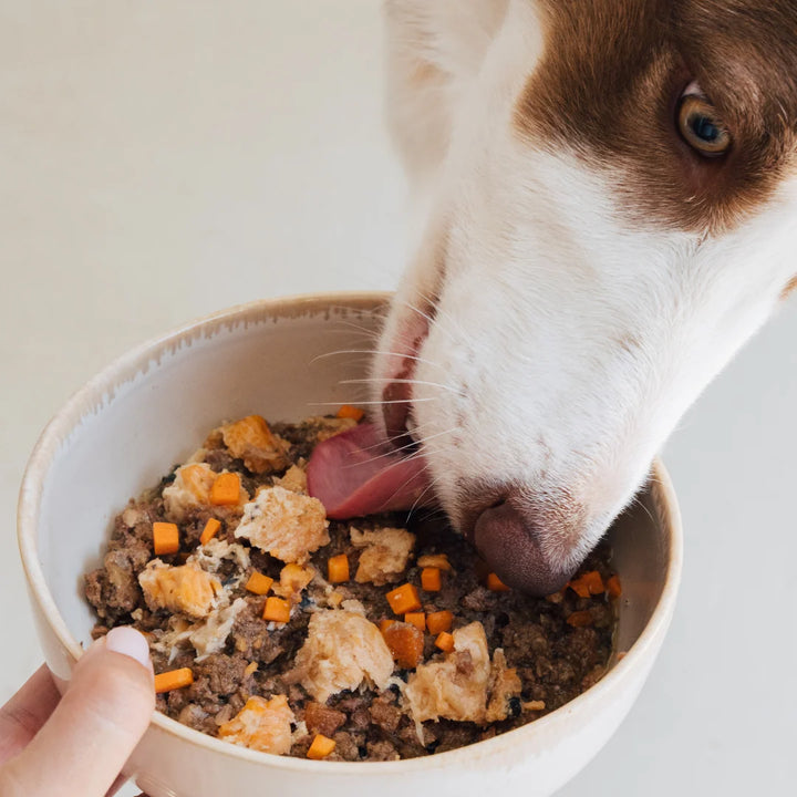lata filosofía BARF de salmón y ternera para perros