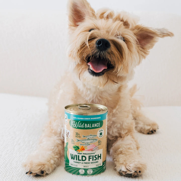 lata filosofía barf de pescado y pavo para perros