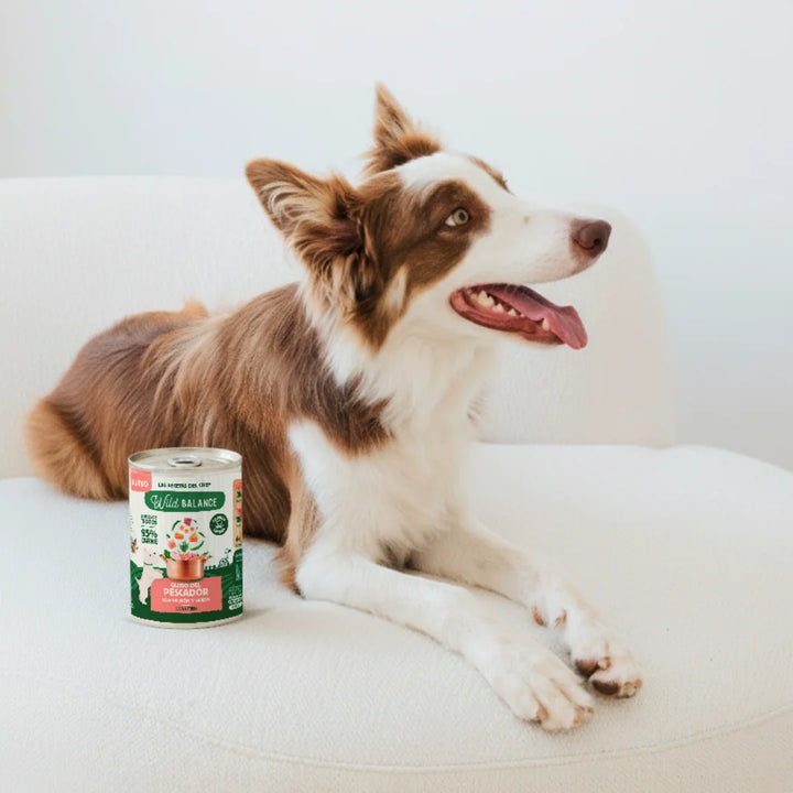 lata recetas del chef guiso del pescador para perros