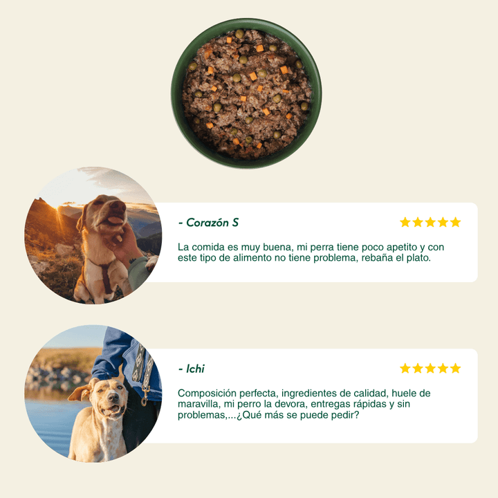 lata recetas del chef sabor ragut para perros