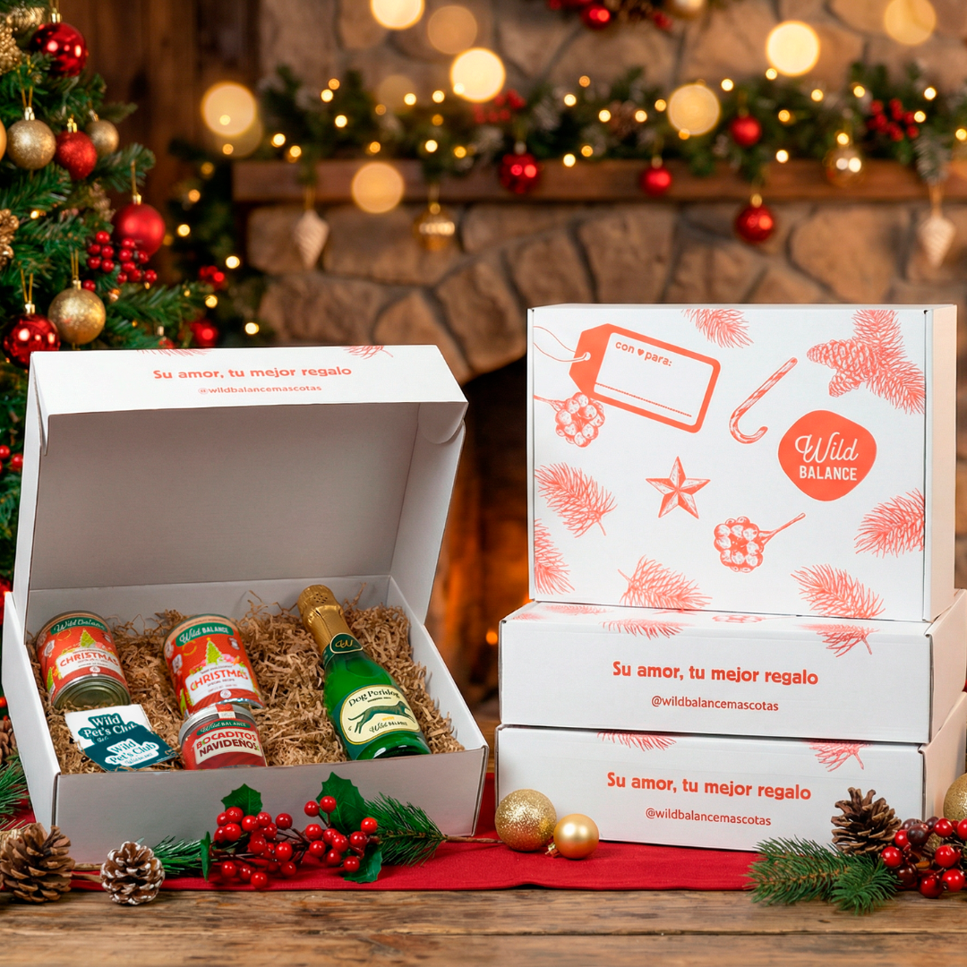 Caja Regalo de Navidad para Perros