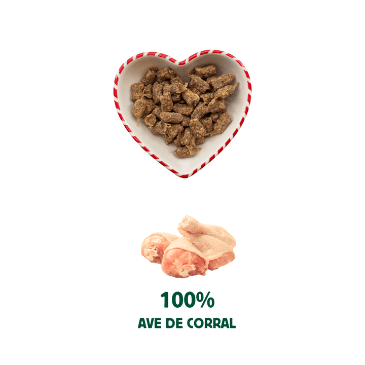 Bocaditos navideños para perros