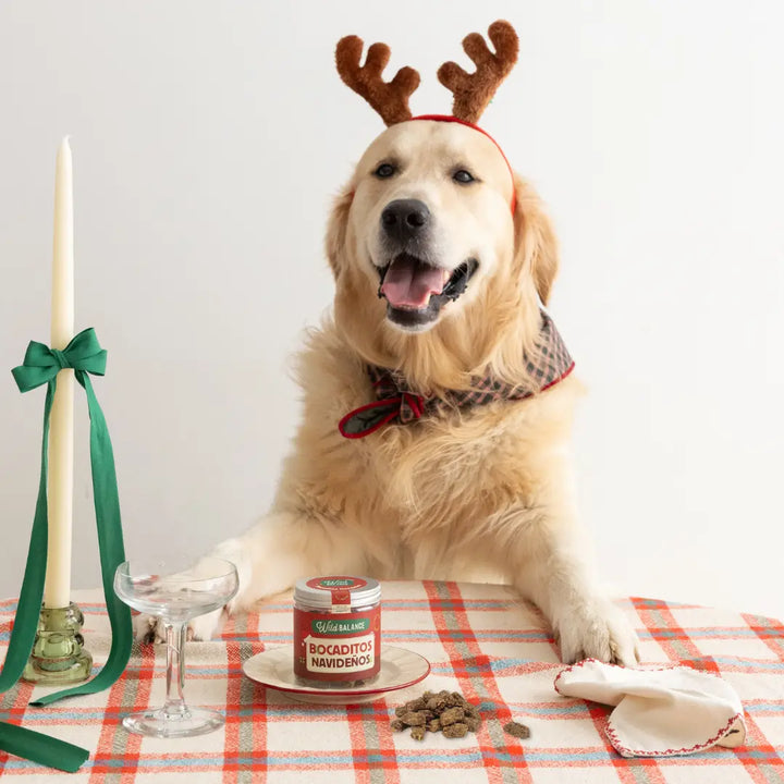 Bocaditos navideños para perros