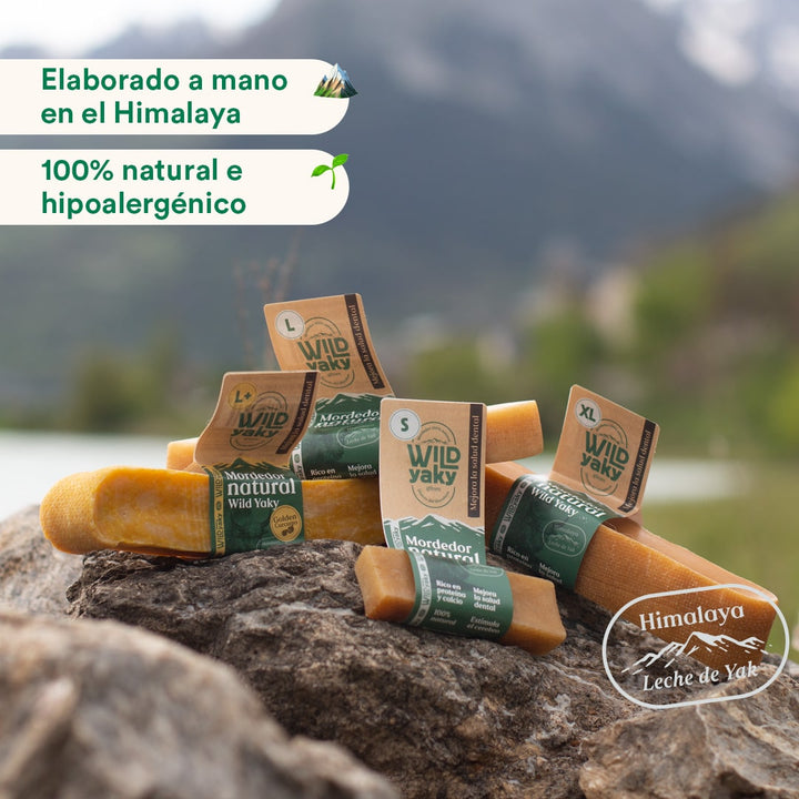 Wild Yaky Golden – Barrita de Leche de Yak del Himalaya con Cúrcuma-Wild Balance