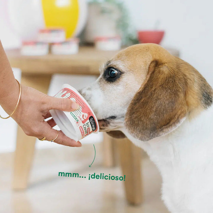 YOGUR HELADO con prebióticos naturales sabor Mora con semillas de chía 110g-Wild Balance