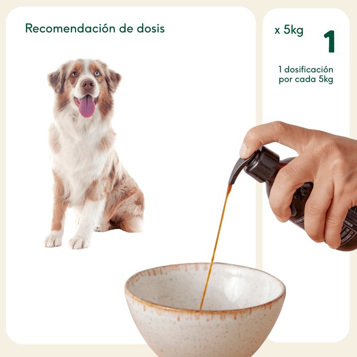 Aceite natural de salmón noruego-Wild Balance