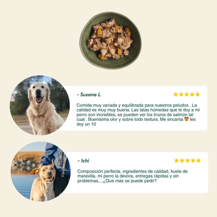 lata filosofía barf de pollo con verduras para perros