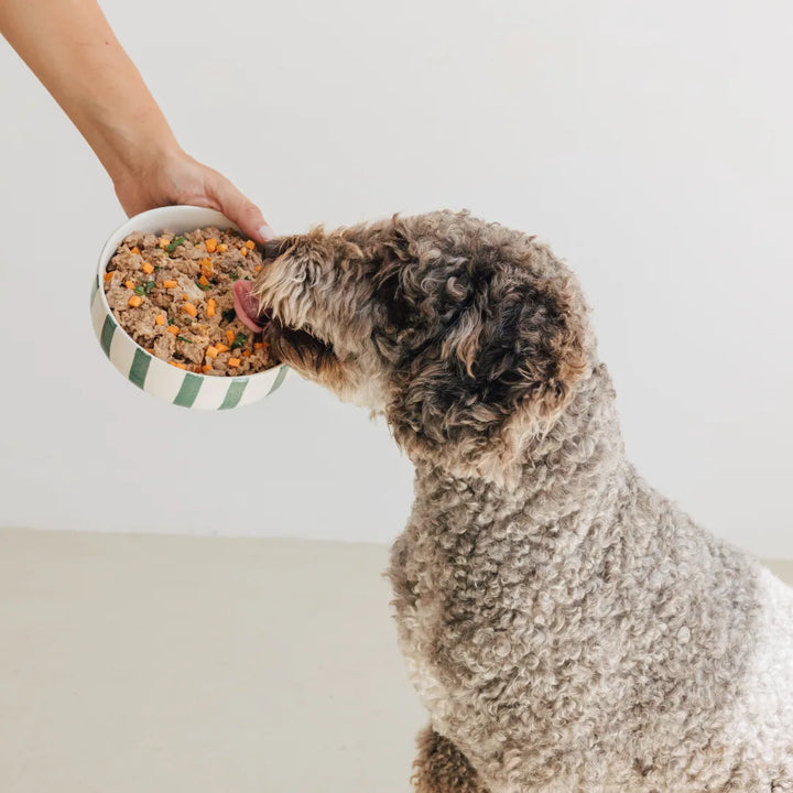lata filosofía barf de pollo con verduras para perros