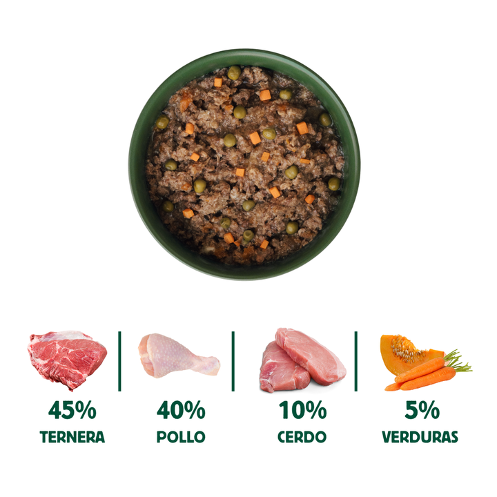latas recetas del chef de ragut tradicional para gatos
