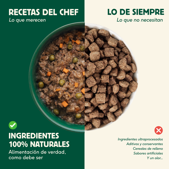 latas recetas del chef de ragut tradicional para gatos