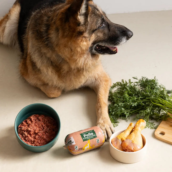 menú BARF GRANDE de pollo con verduras para perros