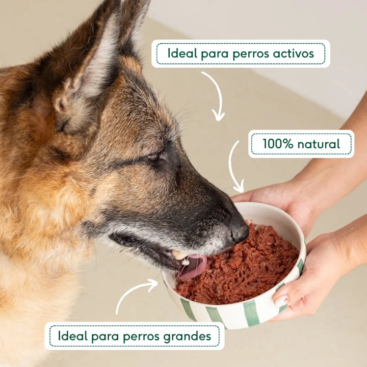menú BARF GRANDE de ternera con verduras para perros