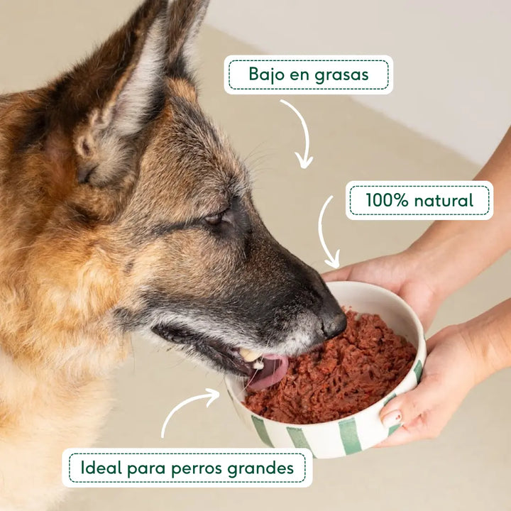 Pack 5 kg de BARF GRANDE para perros