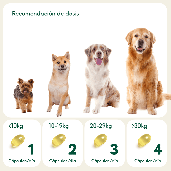 PELAJE RADIANTE Cápsulas Omega 3 de aceite de pescado-Wild Balance
