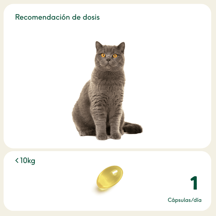 PELAJE RADIANTE Cápsulas Omega 3 de aceite de pescado-Wild Balance