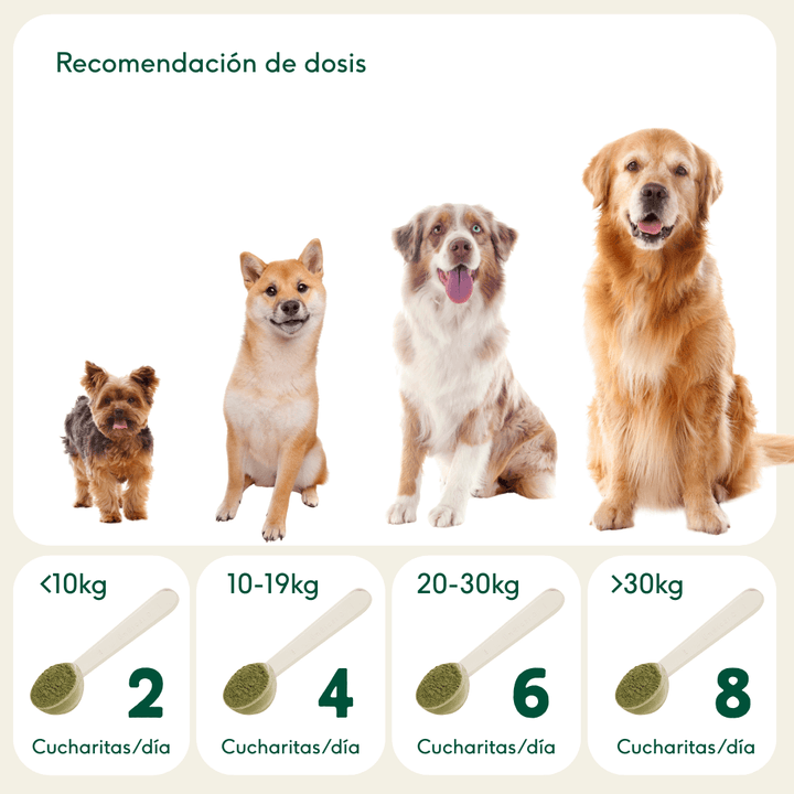 BARF EN UNO El suplemento indispensable en su alimentación-Wild Balance