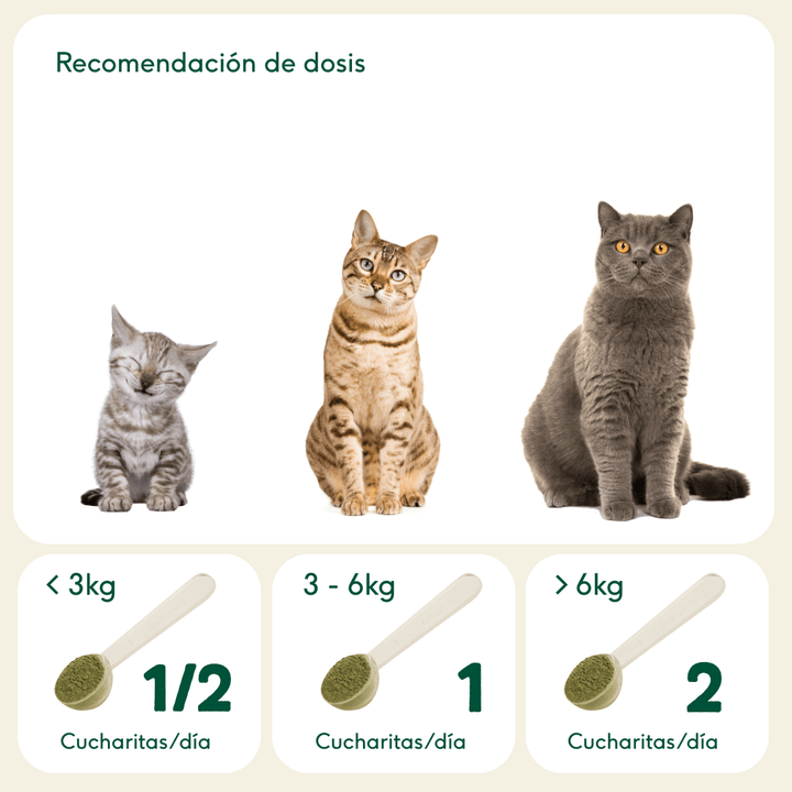 Cáscara de Huevo orgánica-Wild Balance